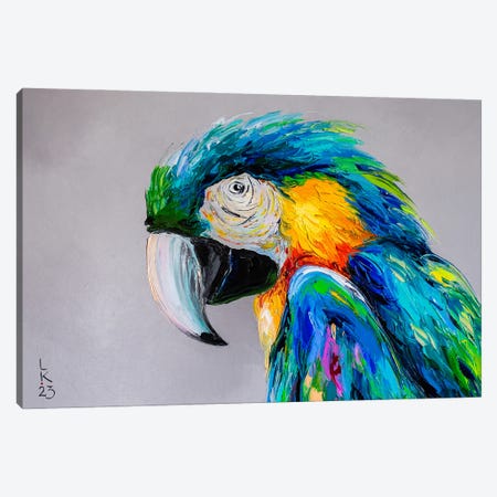 Macaw II Canvas Print #KPV493} by KuptsovaArt Canvas Artwork