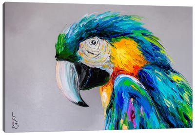 Macaw II Canvas Art Print - Macaw Art