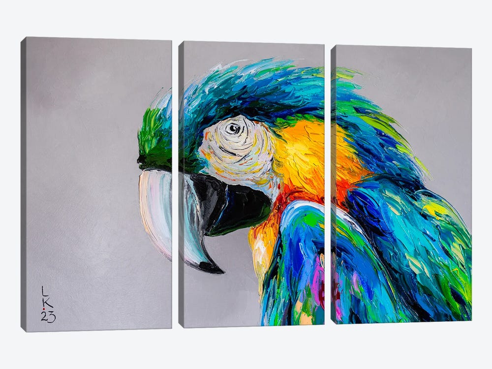 Macaw II by KuptsovaArt 3-piece Art Print