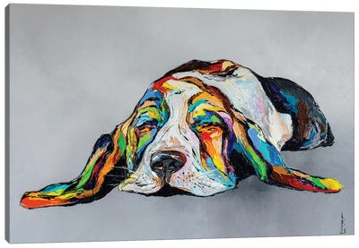 Dreaming Busset Hound Canvas Art Print - Basset Hound Art