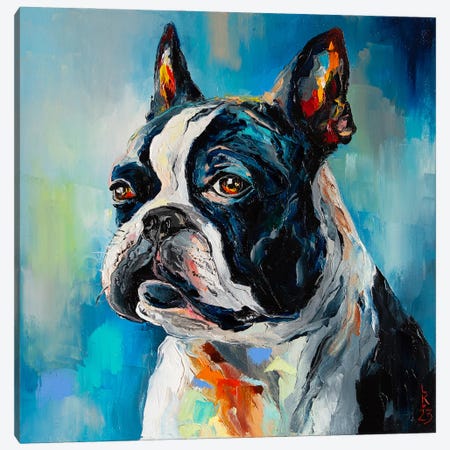 Boston Terrier Canvas Print #KPV553} by KuptsovaArt Art Print