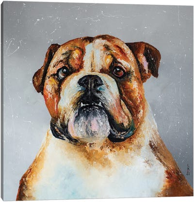 Hey Bulldog Canvas Art Print - Bulldog Art