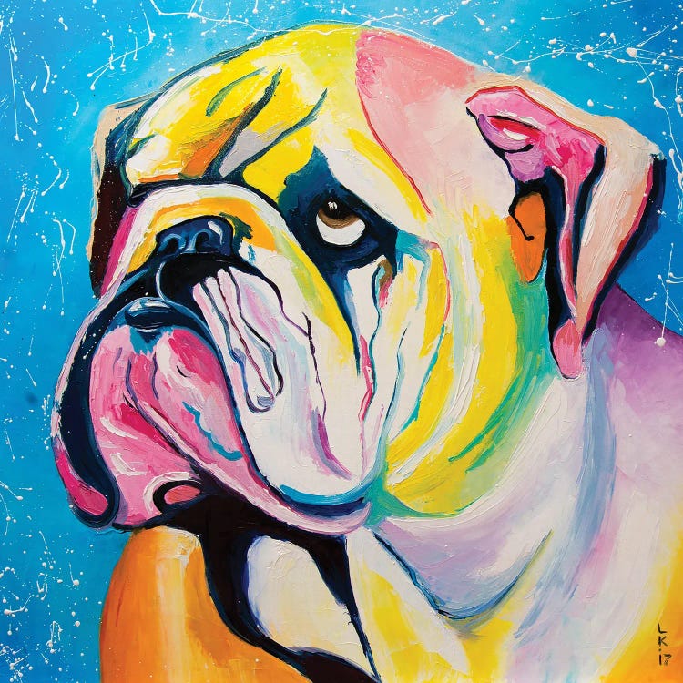 Hey Bulldog II