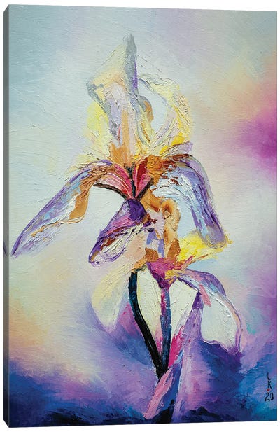 Iris Flower Canvas Art Print - Iris Art