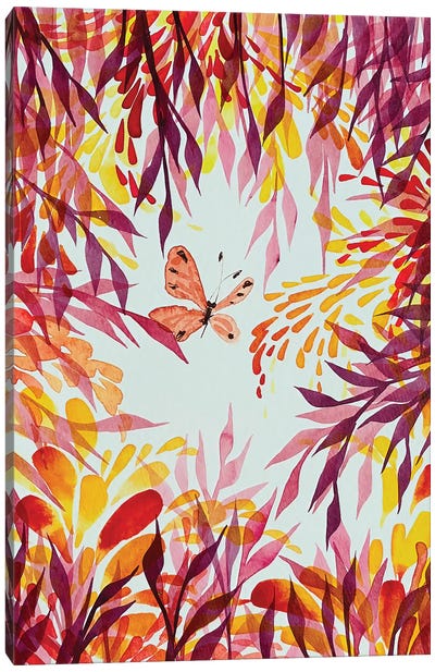 Butterfly Canvas Art Print - Shushanik Karapetyan