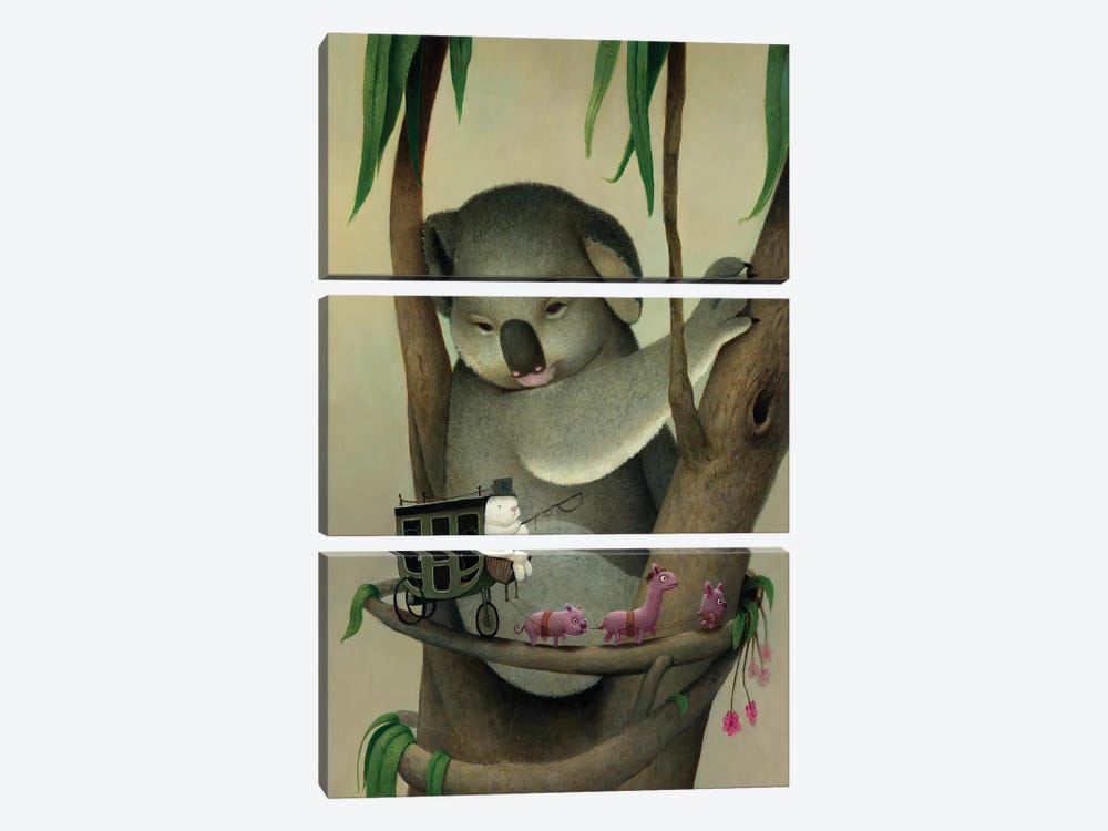 Koala by Kristian Adam 3-piece Canvas Wall Art