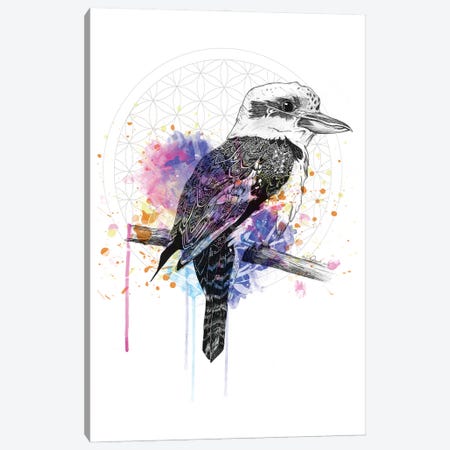 Kookaburra Canvas Print #KRB4} by Karin Roberts Art Print