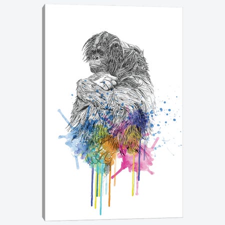 Orangutan Canvas Print #KRB6} by Karin Roberts Canvas Art Print