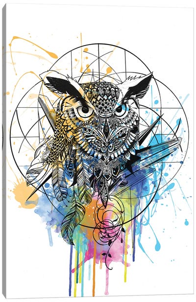 Owl Canvas Art Print