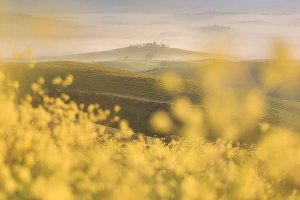 Daniel Kordan: Spring In Tuscany IV by Daniel Kordan