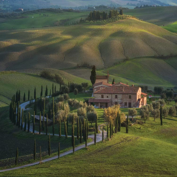 Spring In Tuscany V