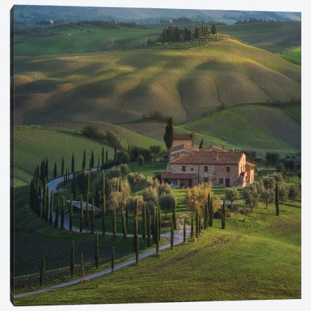 Spring In Tuscany V Canvas Print #KRD101} by Daniel Kordan Canvas Wall Art