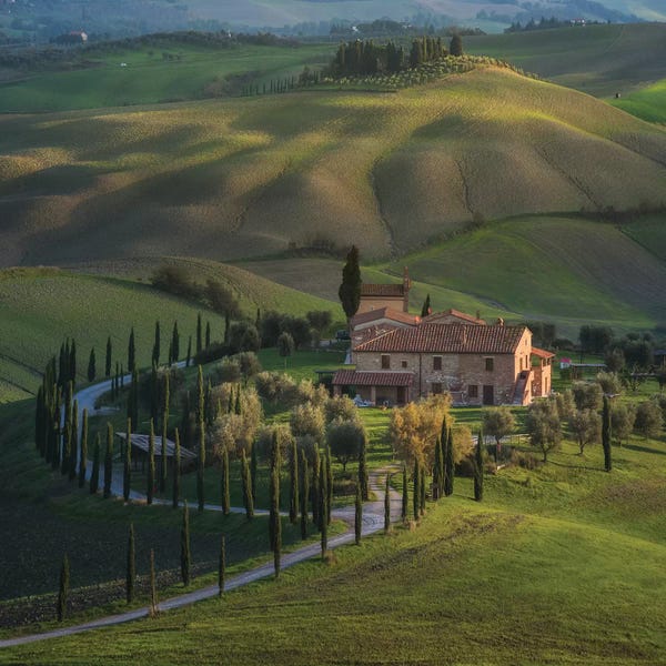 Daniel Kordan: Spring In Tuscany V by Daniel Kordan