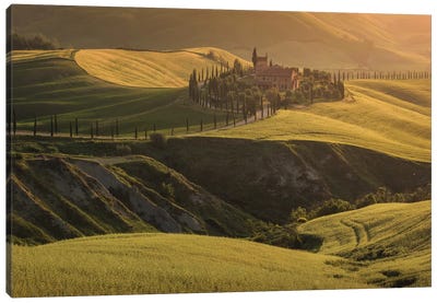 Spring In Tuscany VII Canvas Art Print - Daniel Kordan