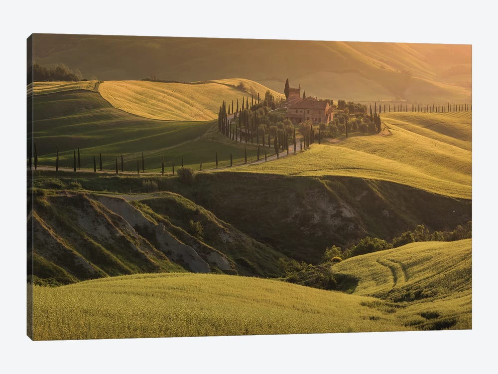 Spring In Tuscany VII by Daniel Kordan 1-piece Canvas Print