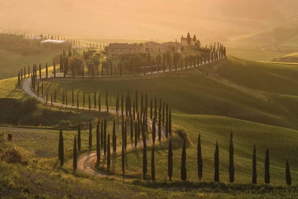Daniel Kordan: Spring In Tuscany VIII by Daniel Kordan