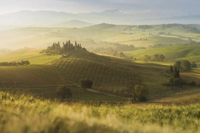 Spring In Tuscany IX by Daniel Kordan art print