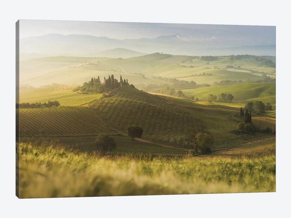 Spring In Tuscany IX by Daniel Kordan 1-piece Canvas Art Print