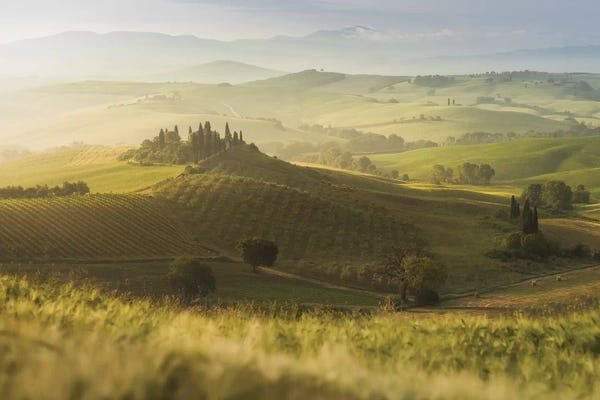 Daniel Kordan: Spring In Tuscany IX by Daniel Kordan