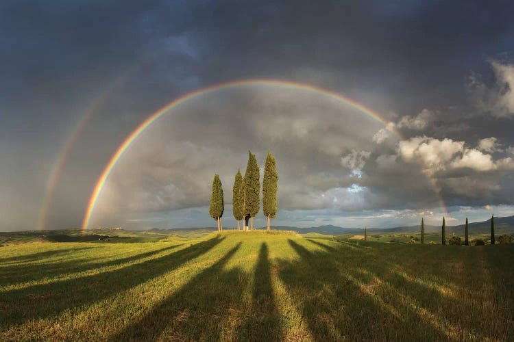 Spring In Tuscany X