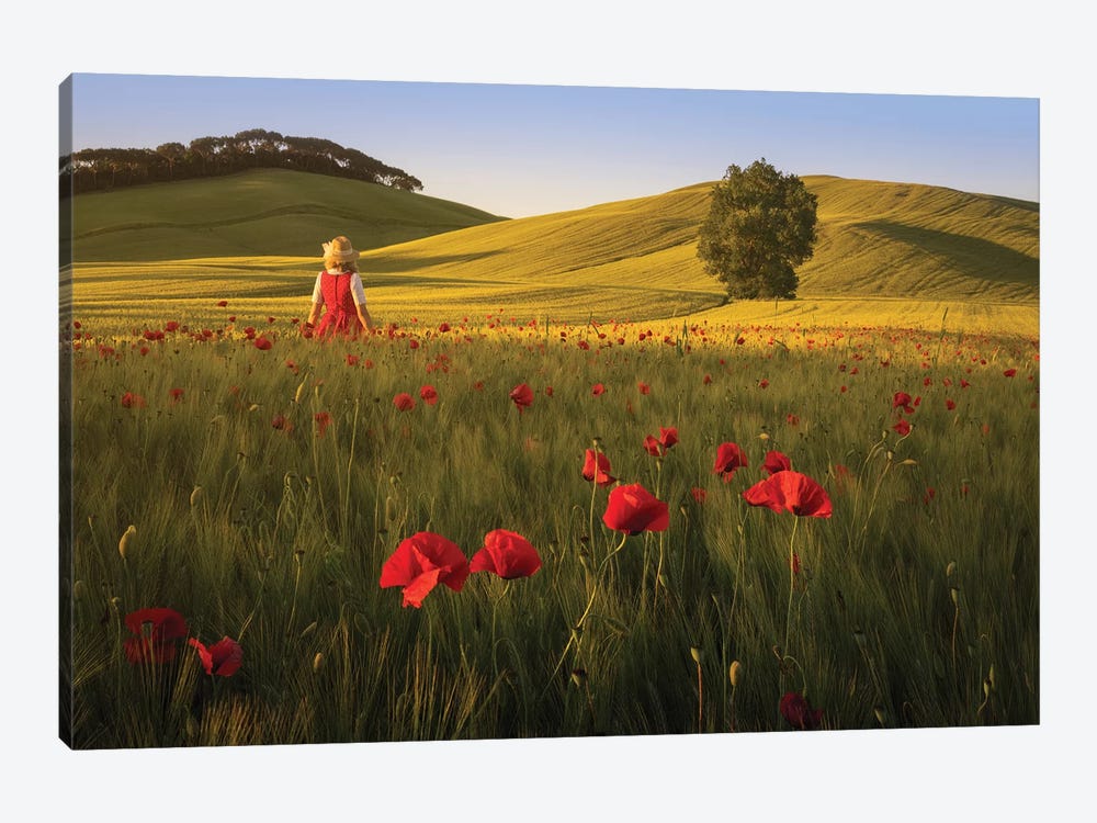 Spring In Tuscany XII by Daniel Kordan 1-piece Canvas Art