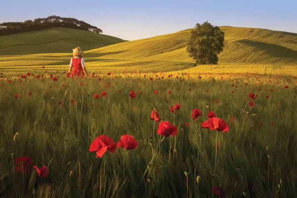 Daniel Kordan: Spring In Tuscany XII by Daniel Kordan