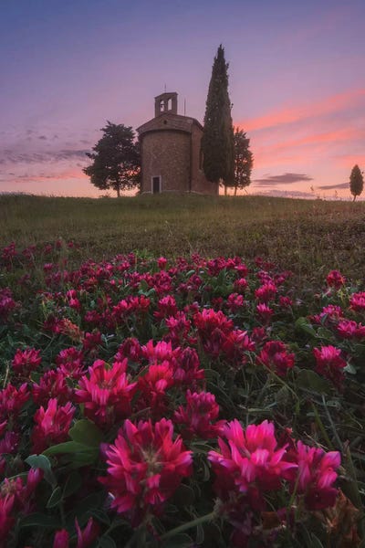 Daniel Kordan: Spring In Tuscany XIII by Daniel Kordan