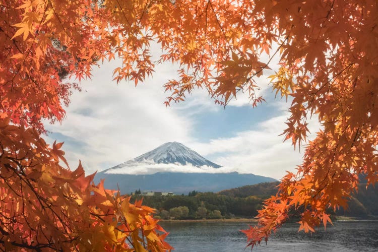 Autumn In Japan X