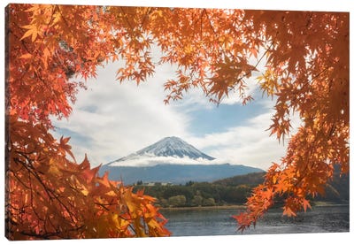 Autumn In Japan X Canvas Art Print - Japanese Maple Tree Art