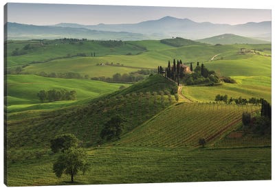 Spring In Tuscany XVI Canvas Art Print - Hill & Hillside Art