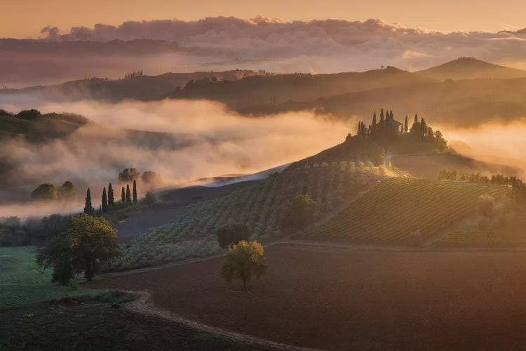 Spring In Tuscany XVII