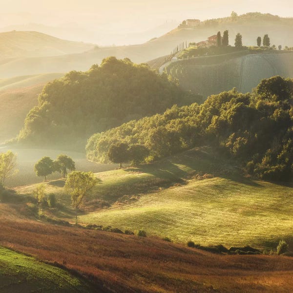 Daniel Kordan: Spring In Tuscany XVIII by Daniel Kordan