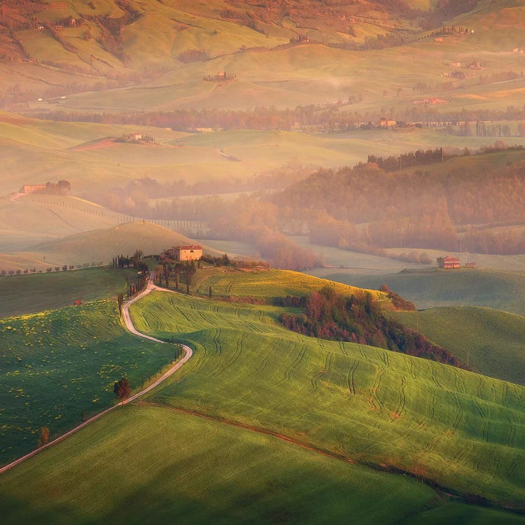 Spring In Tuscany XIX