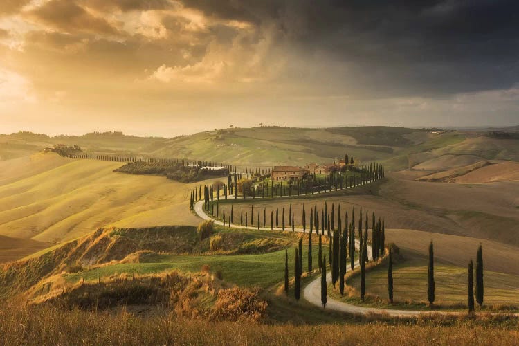 Tuscany by Daniel Kordan wall art