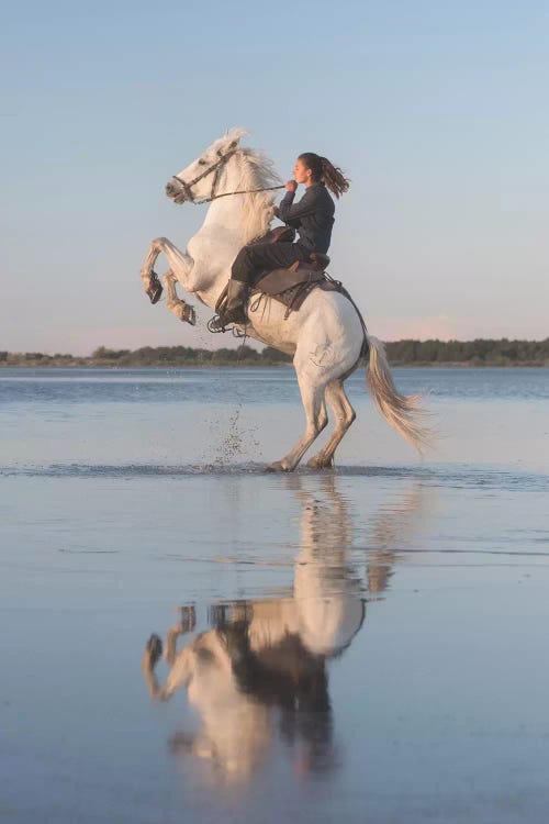 White Angels Of Camargue IV