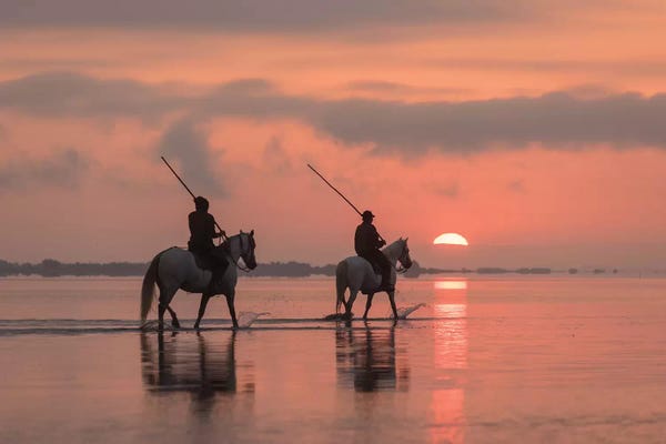 Daniel Kordan: White Angels Of Camargue X by Daniel Kordan