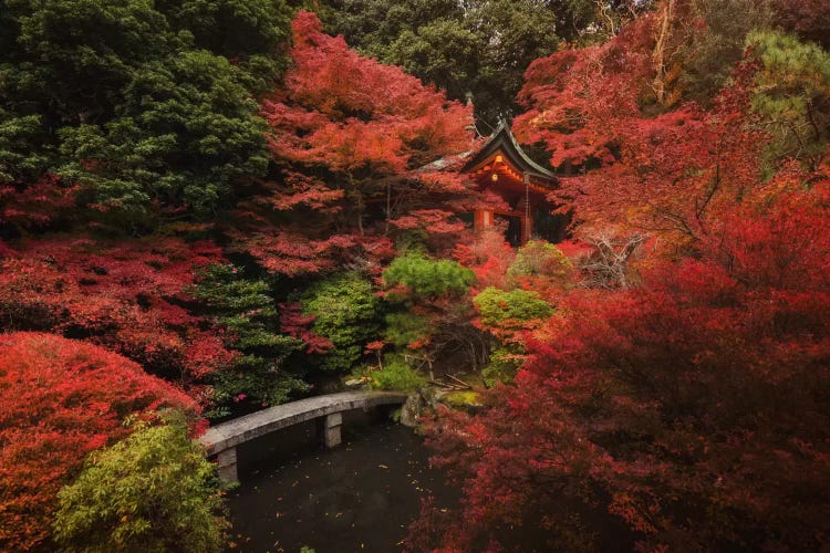 Autumn In Japan XII