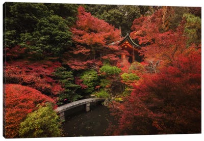 Autumn In Japan XII Canvas Art Print - Japan Art
