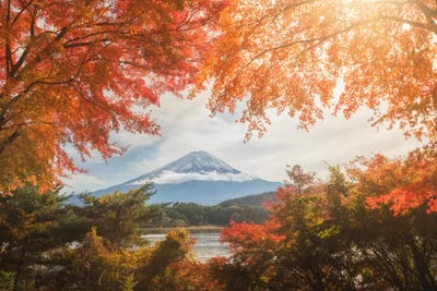 Autumn In Japan XIII Art Print by Daniel Kordan | iCanvas