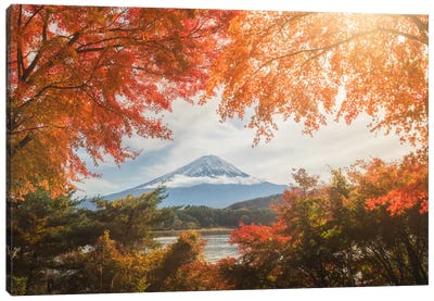 Autumn In Japan XIII Canvas Art Print - Japan Art