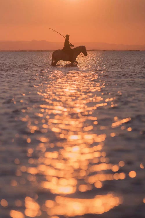 White Angels Of Camargue XXV