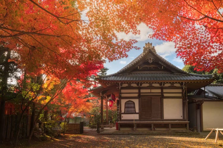 Autumn In Japan XIV