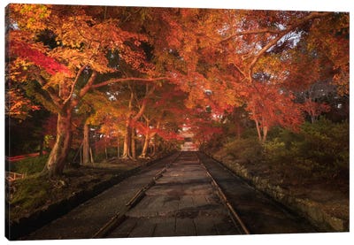 Autumn In Japan XV Canvas Art Print - Daniel Kordan