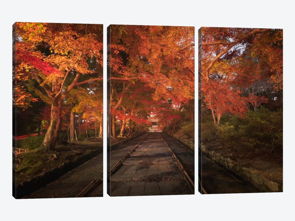 Autumn In Japan XV by Daniel Kordan 3-piece Canvas Print