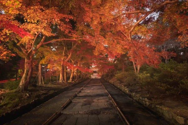 Daniel Kordan: Autumn In Japan XV by Daniel Kordan