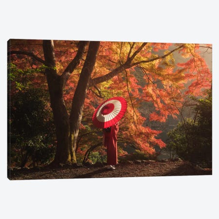 Autumn In Japan XVI Canvas Print #KRD16} by Daniel Kordan Canvas Artwork