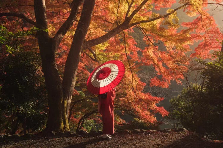 Autumn In Japan XVI