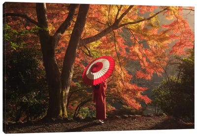 Autumn In Japan XVI Canvas Art Print - Daniel Kordan