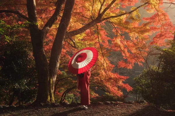 Daniel Kordan: Autumn In Japan XVI by Daniel Kordan