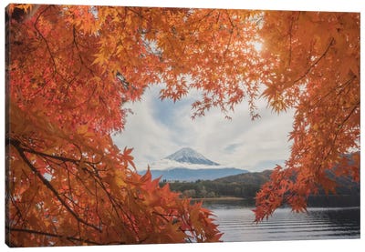 Autumn In Japan XXI Canvas Art Print - Japan Art